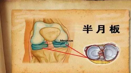 二三合数今期开,一六不分今期来打一生肖，详细解答、构建解答解释落实