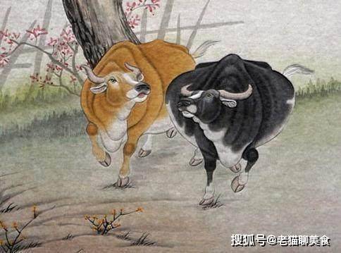 安贫乐道焉知非福双戈夺金遂贪欲是什么生肖，全面释义、综合解答解释落实