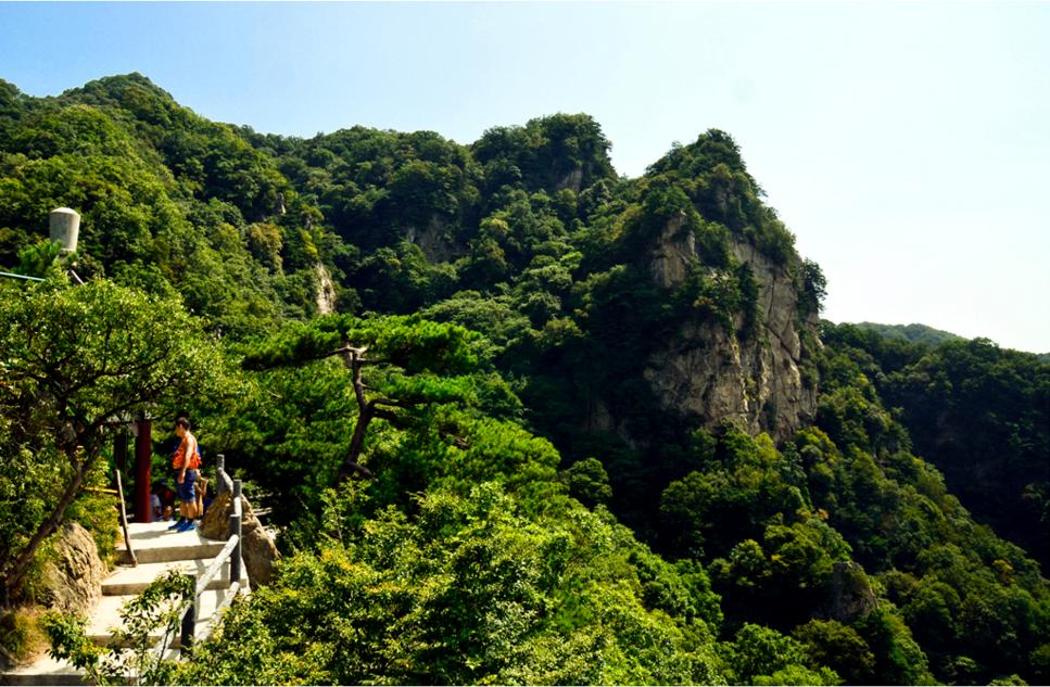 红双防蓝水火土 零二特头有你看打一生肖的警惕虚假宣传-全面释义、时代解答解释落实